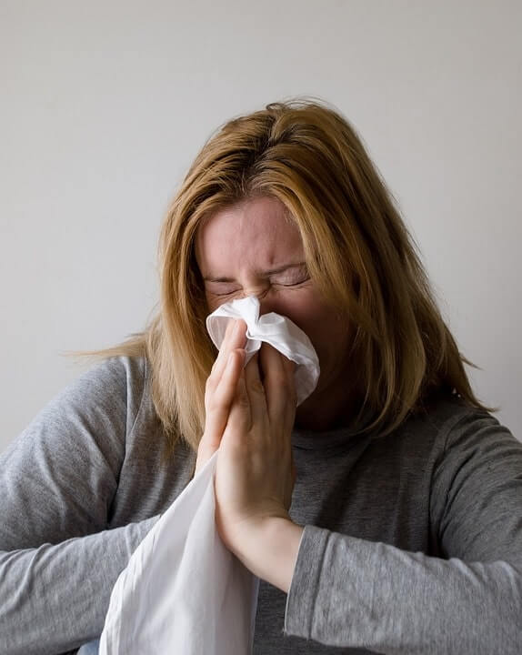 dust mites allergens